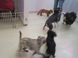 IMG_1757.jpg