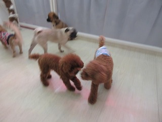 IMG_1758.jpg