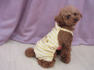 IMG_1762.jpg