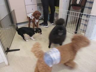 IMG_1763.jpg