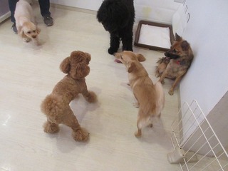 IMG_1767.jpg