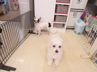 IMG_1775.jpg