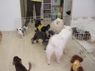 IMG_1782.jpg