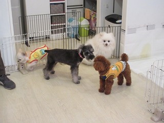 IMG_1787.jpg