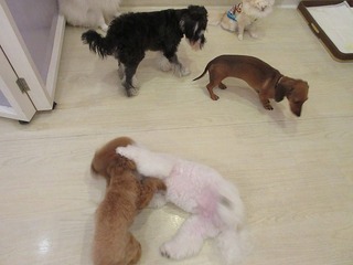 IMG_1789.jpg