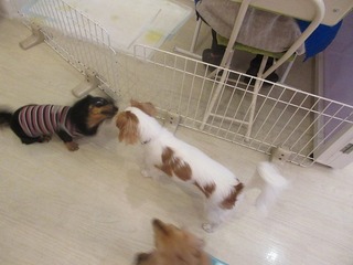 IMG_1799.jpg