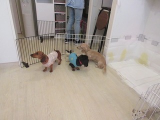 IMG_1800.jpg