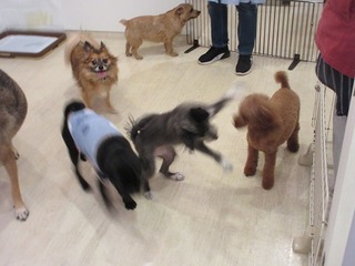 IMG_1846.jpg