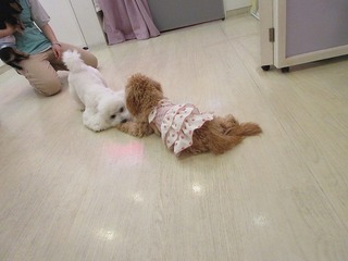 IMG_1851.jpg