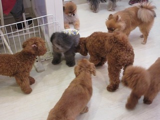 IMG_1854.jpg