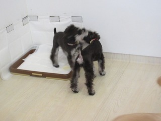 IMG_1868.jpg