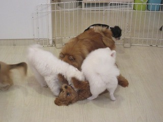IMG_1877.jpg