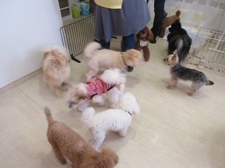 IMG_1893.jpg