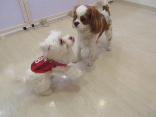 IMG_1895.jpg