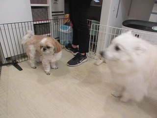 IMG_1905.jpg