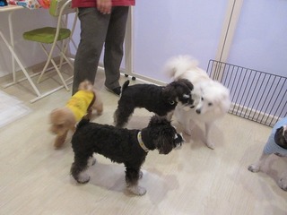 IMG_1935.jpg