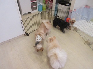 IMG_1941.jpg