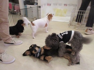 IMG_1964.jpg