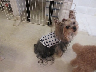 IMG_1970.jpg