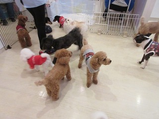 IMG_1987.jpg
