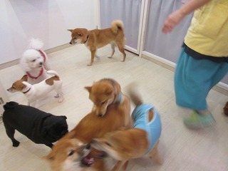 IMG_2009.jpg