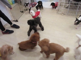 IMG_2033.jpg