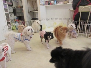 IMG_2051.jpg
