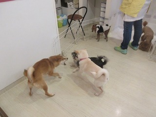 IMG_2060.jpg