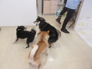 IMG_2060.jpg