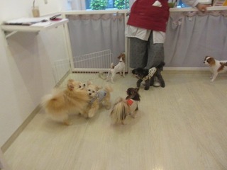 IMG_2064.jpg