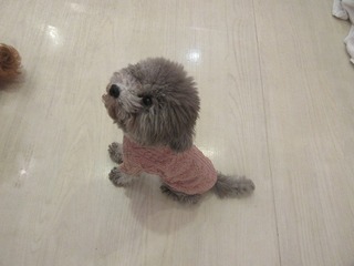 IMG_2065.jpg
