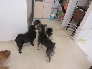 IMG_2075.jpg