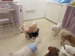 IMG_2080.jpg