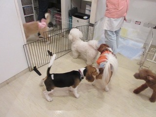 IMG_2093.jpg
