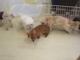 IMG_2111.jpg