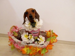 IMG_2145.jpg
