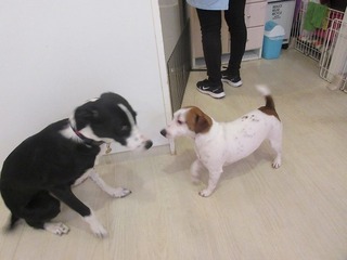IMG_2150.jpg
