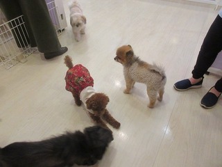 IMG_2155.jpg