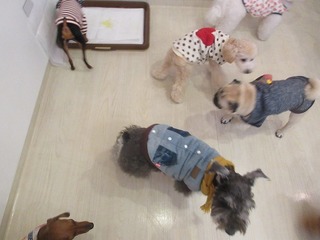 IMG_2156.jpg