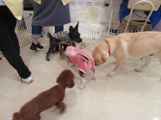 IMG_2159.jpg