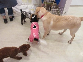 IMG_2160.jpg