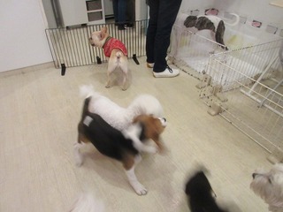 IMG_2185.jpg