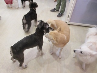 IMG_2200.jpg
