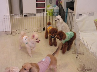 IMG_2207.jpg