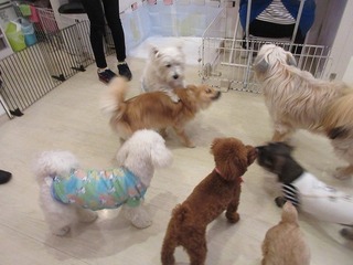 IMG_2208.jpg
