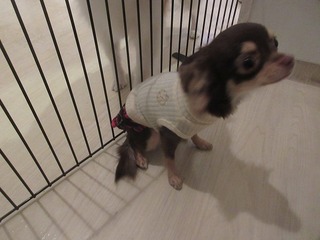 IMG_2216.jpg