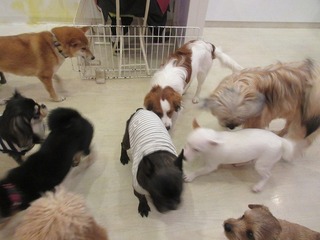 IMG_2273.jpg