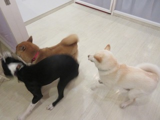 IMG_2280.jpg