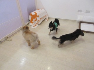 IMG_2281.jpg