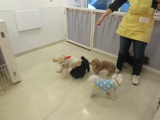 IMG_2288.jpg